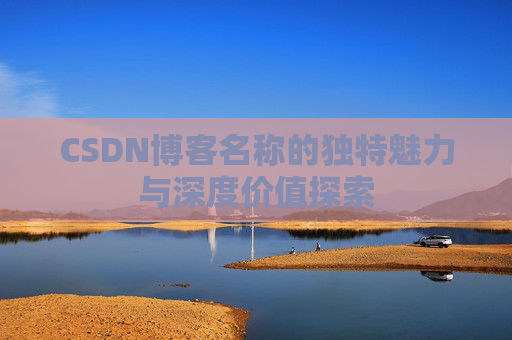 CSDN博客名称的独特魅力与深度价值探索
